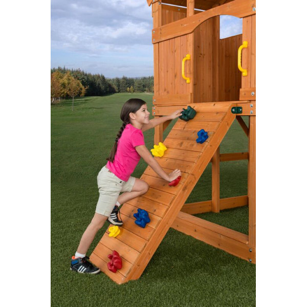 CreativeCedarDesigns Plastic Climbing Rocks & Reviews Wayfair